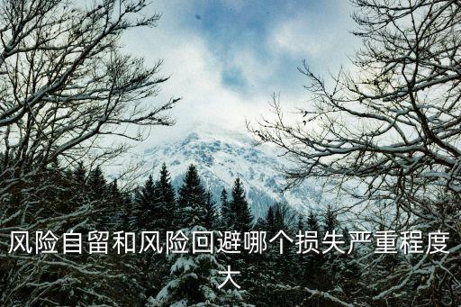 風(fēng)險自留，在風(fēng)險管理方式中自留風(fēng)險方式可分為