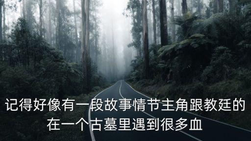 記得好像有一段故事情節(jié)主角跟教廷的在一個古墓里遇到很多血