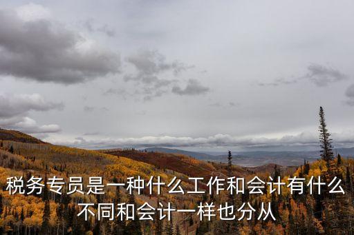 稅務(wù)專員是一種什么工作和會計(jì)有什么不同和會計(jì)一樣也分從