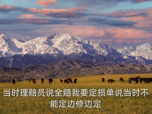當(dāng)時(shí)理賠員說全賠我要定損單說當(dāng)時(shí)不能定邊修邊定
