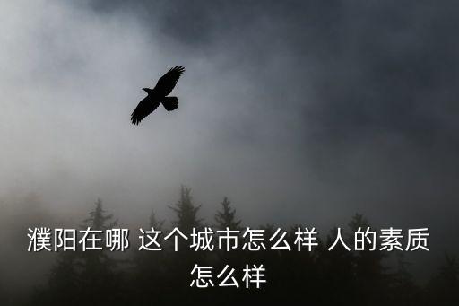 濮陽在哪 這個城市怎么樣 人的素質(zhì)怎么樣