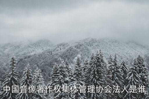 音集協(xié)，中國(guó)音像著作權(quán)集體管理協(xié)會(huì)是行政單位嗎