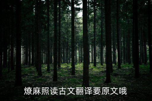 燎麻照讀古文翻譯要原文哦