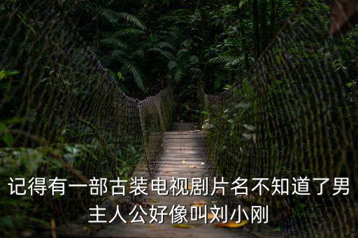 記得有一部古裝電視劇片名不知道了男主人公好像叫劉小剛