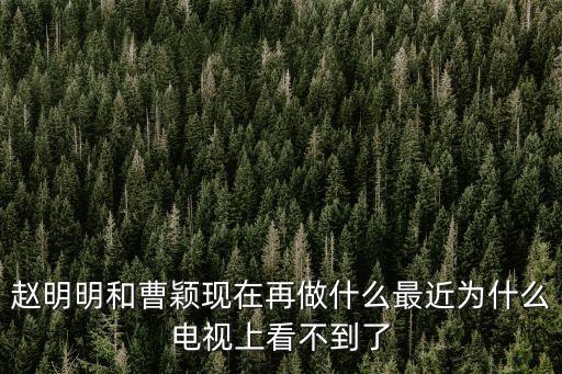 趙明明現(xiàn)任老公，趙明明的現(xiàn)任老公是誰(shuí)