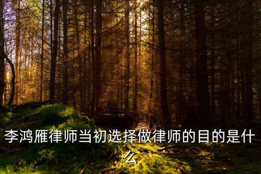 李鴻雁，李鴻雁律師稱得上是一個稱職的律師嗎