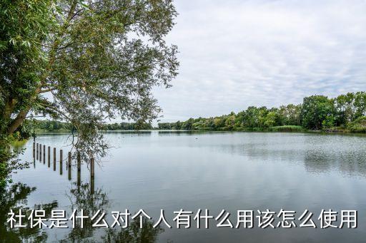 保社，保社卡和醫(yī)?？ㄓ猩趺捶謩e