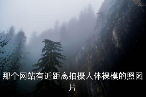 裸體美女網(wǎng)站，那個網(wǎng)站有近距離拍攝人體裸模的照圖片