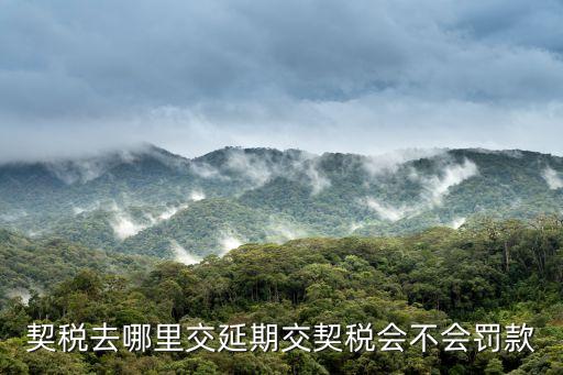 過稅，契稅去哪里交延期交契稅會(huì)不會(huì)罰款
