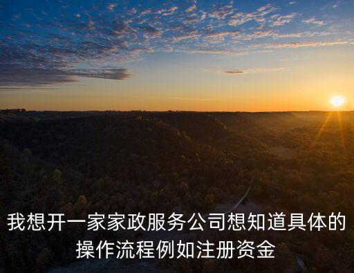 我想開一家家政服務(wù)公司想知道具體的操作流程例如注冊資金