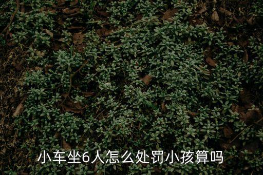 新交規(guī)私家車坐6個人，小車包括司機(jī)坐六個人算超載么