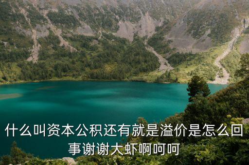 什么叫資本公積還有就是溢價是怎么回事謝謝大蝦啊呵呵