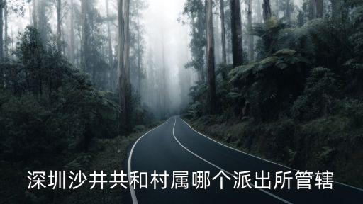深圳沙井共和村屬哪個派出所管轄