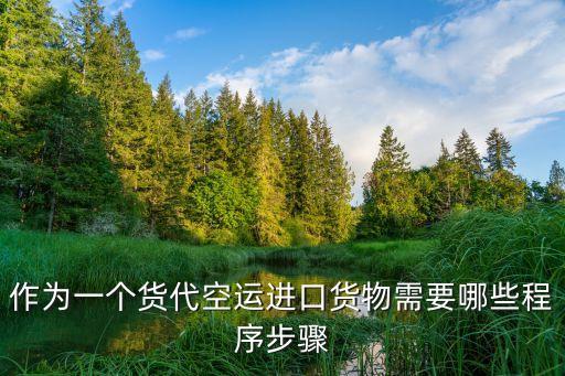 作為一個貨代空運進口貨物需要哪些程序步驟