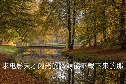 求電影天才閃光的資源能下載下來的那種