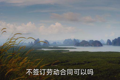 不簽訂勞動合同可以嗎