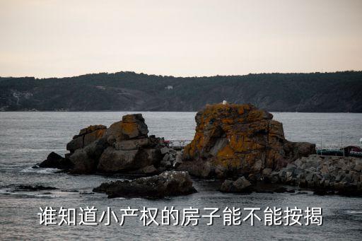 誰知道小產(chǎn)權(quán)的房子能不能按揭