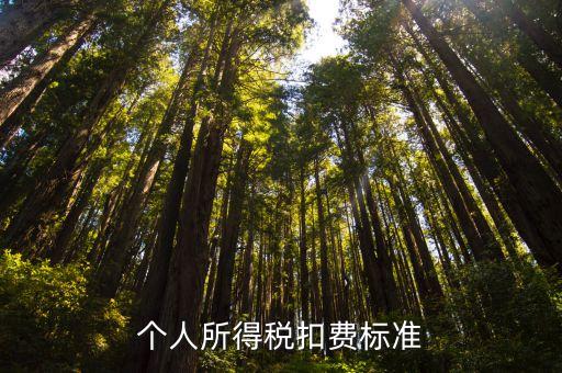 個人所得稅扣費標準