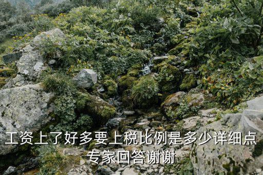 工資上了好多要上稅比例是多少詳細點專家回答謝謝