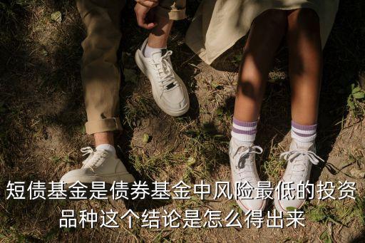 短債，短債基金是債券基金中風(fēng)險最低的投資品種這個結(jié)論是怎么得出來