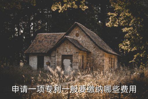 申請(qǐng)一項(xiàng)專利一般要繳納哪些費(fèi)用