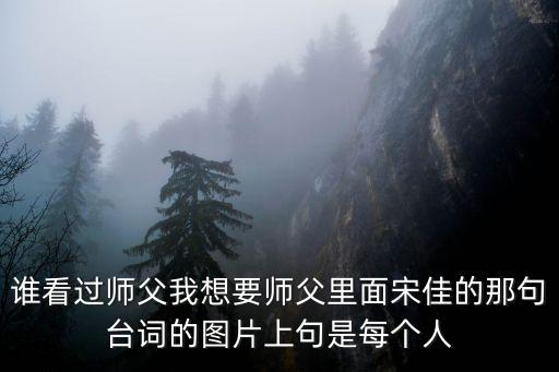 誰看過師父我想要師父里面宋佳的那句臺詞的圖片上句是每個人