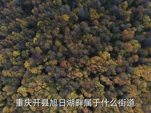 漢豐街道，重慶市開(kāi)縣漢豐街道第一中心小學(xué)好久開(kāi)學(xué)