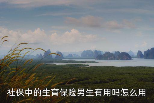 社保中的生育保險男生有用嗎怎么用