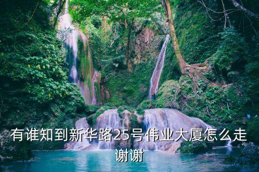 有誰(shuí)知到新華路25號(hào)偉業(yè)大廈怎么走謝謝
