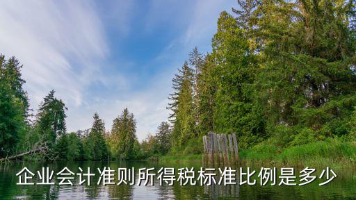 納稅比例，現(xiàn)在開(kāi)店的納稅比例是多少