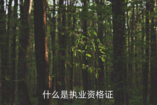 執(zhí)業(yè)證書是什么，什么是執(zhí)業(yè)資格證
