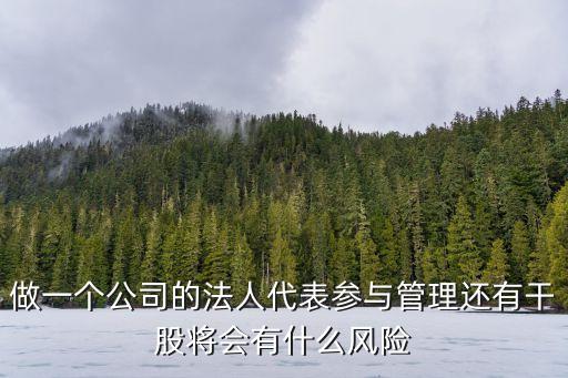 做一個公司的法人代表參與管理還有干股將會有什么風險
