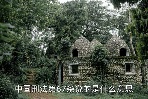 中國刑法第67條說的是什么意思