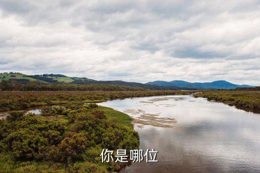 你是哪位