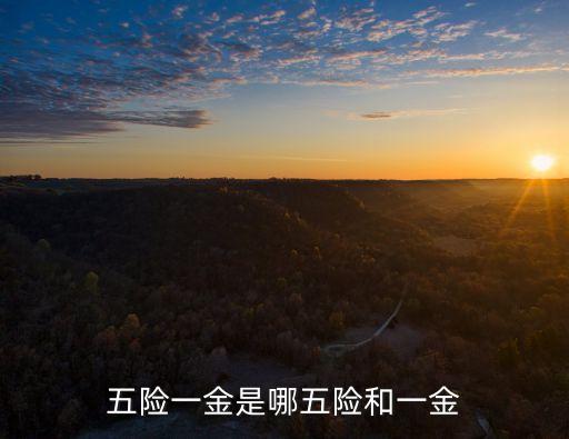 五險一金是哪五險和一金