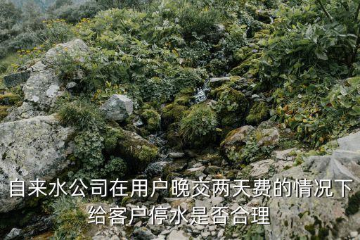 水費(fèi)欠費(fèi)會停水嗎，村干部管水的那天交電費(fèi)的時候沒錢了就沒有交水費(fèi)他就問我