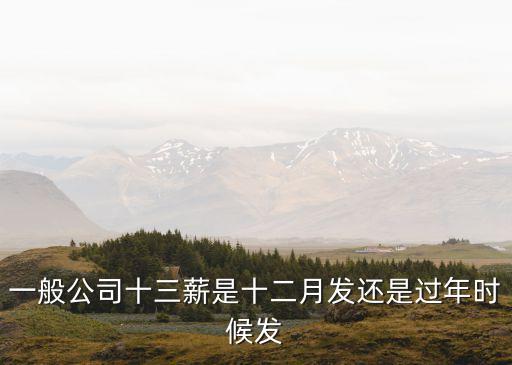 一般公司十三薪是十二月發(fā)還是過年時(shí)候發(fā)