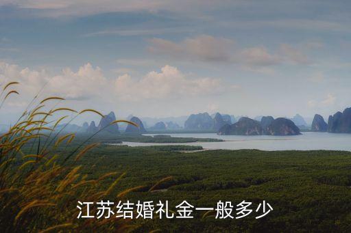 江蘇結婚禮金一般多少
