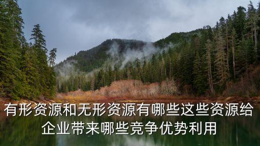 有形資源和無(wú)形資源有哪些這些資源給企業(yè)帶來(lái)哪些競(jìng)爭(zhēng)優(yōu)勢(shì)利用