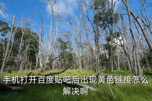 手機打開百度貼吧后出現(xiàn)黃色鏈接怎么解決啊