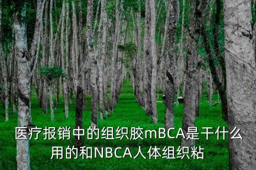 MBCA，醫(yī)療報(bào)銷中的組織膠mBCA是干什么用的和NBCA人體組織粘