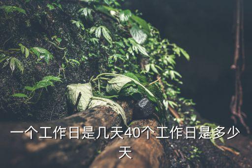 一個(gè)工作日是幾天40個(gè)工作日是多少天