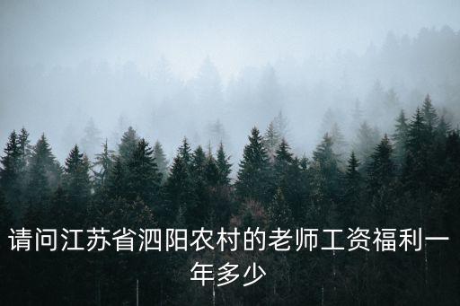請(qǐng)問江蘇省泗陽(yáng)農(nóng)村的老師工資福利一年多少