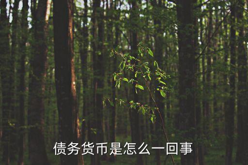債務(wù)貨幣化，債務(wù)的貨幣化