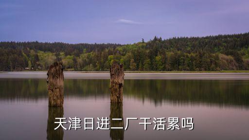 天津日進(jìn)二廠干活累嗎
