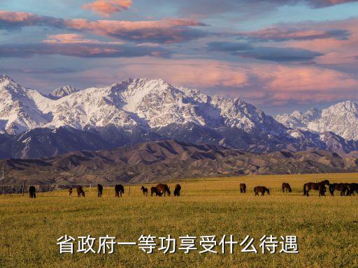 一等功臣享受什么待遇，解放戰(zhàn)爭一等功臣有什么待遇