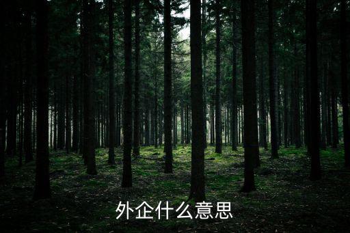 外企什么意思