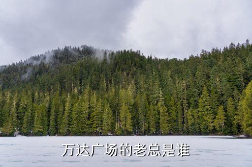 萬達(dá)廣場(chǎng)老總是誰，萬達(dá)老總是誰