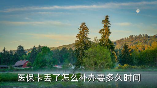 補(bǔ)辦醫(yī)?？ㄒ嗑茫a(bǔ)辦一張醫(yī)保卡 需要多長時(shí)間