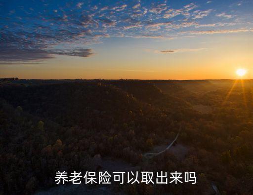 養(yǎng)老金能取出來嗎，養(yǎng)老金款可以取出來嗎